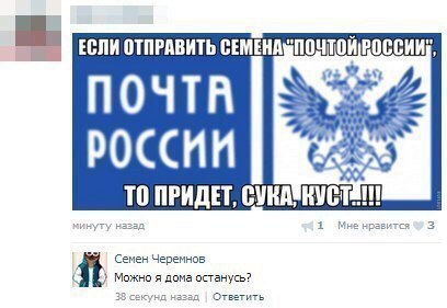 Ужасы и приколы из соцсетей 18+