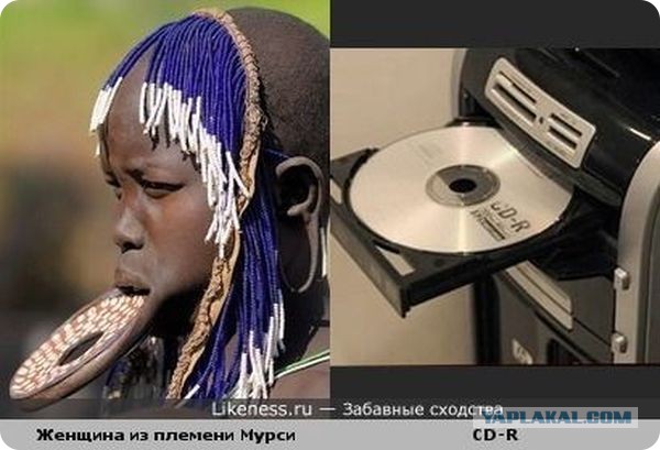 Один в один! 17 людей, животных и вещей, которые невероятно похожи друг на друга.