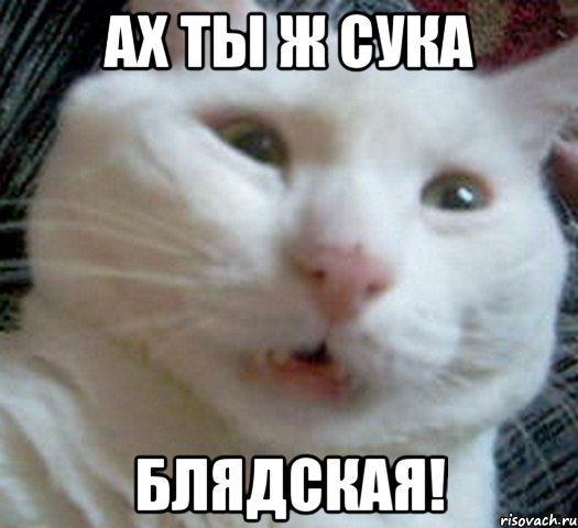 Смешные комментарии из социальных сетей 17.02.2016