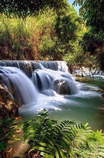 Моменты, запечатлённые на фото и просто позитив 5