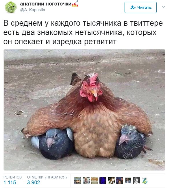 Смешные комментарии из социальных сетей 26.05.2017