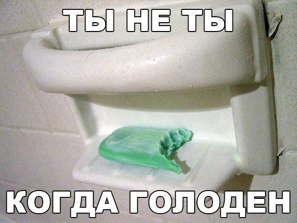 100 картинок для поднятия настроения!