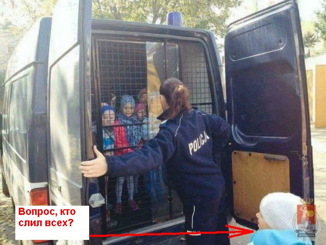 Подборка интересных и веселых картинок