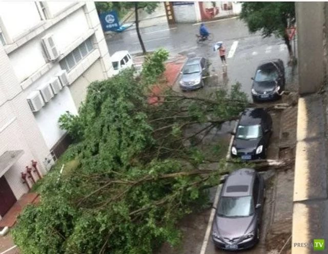 Знаешь, что такое везение? У меня 25 примеров