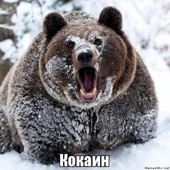 СМИ: Наркотики из Аргентины в Россию везли на правительственном самолёте