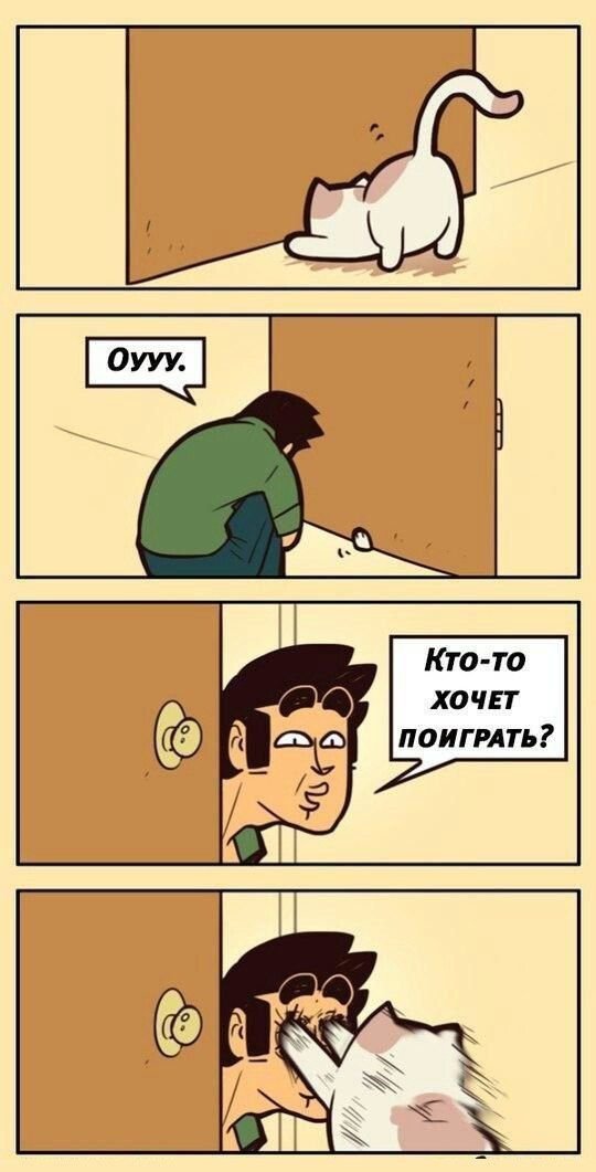 Воскресной ерунды 6 картинок