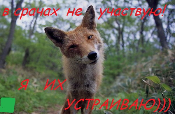 "Любишь троллить людей?"