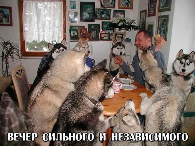 Картинки по-приколу