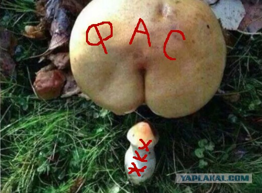 Глава ФАС: Россияне переплачивают за услуги ЖКХ.