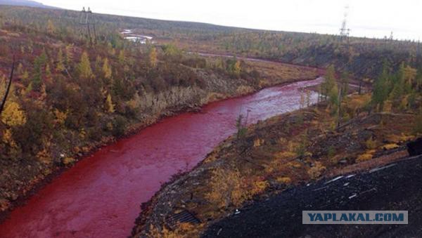 Запоминаем выражения