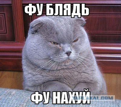 Девушки в шоке! Парни перестали с ними знакомиться!