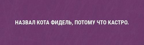 Особые навыки