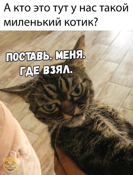 «Картинки разные нужны, картинки разные важны» 21.09