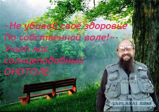 Животные плохого не посоветуют!