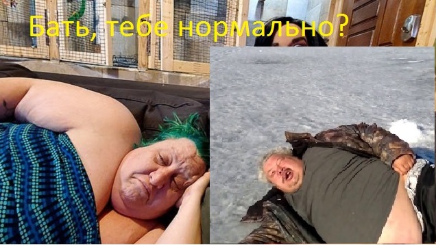 У американской пары появились "настоящие чувства" к роботизированной секс-кукле за $7 000