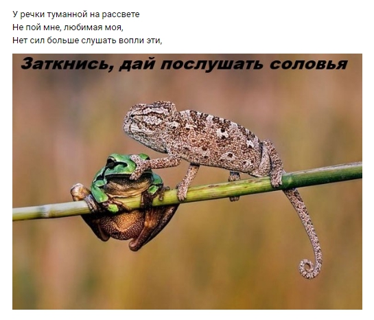 Стихо+картинки