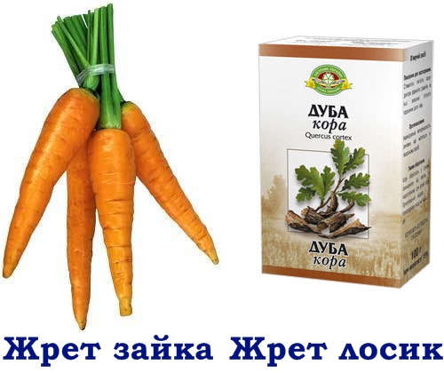 Удивительное рядом