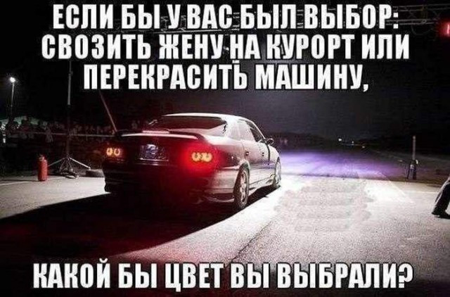Фотки и картинки: юморные и красивые, забавные и милые 19.09.20