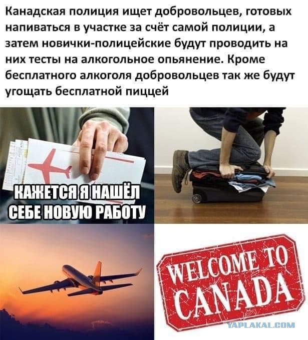 Так себе картинки 05.02.21