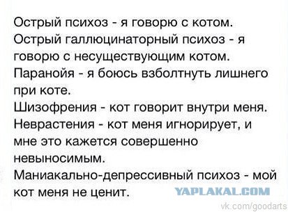 Кот комментирует передачи