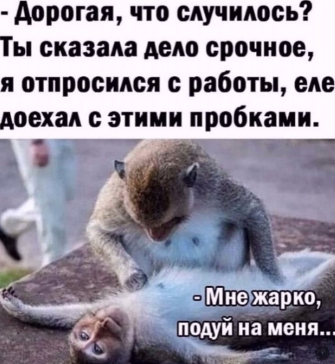 Картинки и мемы для настроения 03.08.2021