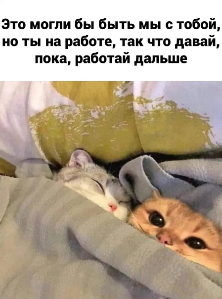 Картинки и мемы, всем прекрасных выходных