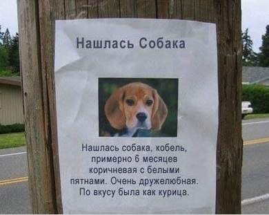 Картинки и мемы, всем прекрасных выходных