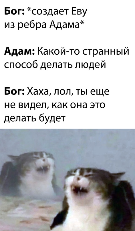 Весёлый полтишок 10.01