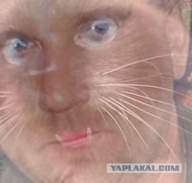 Мой первый рисунок