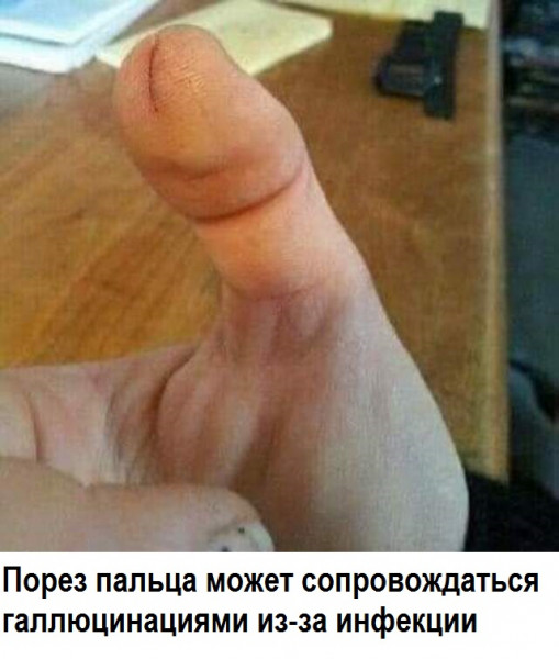 Так себе картинки 16.02.22