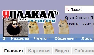 Как поймать собаку