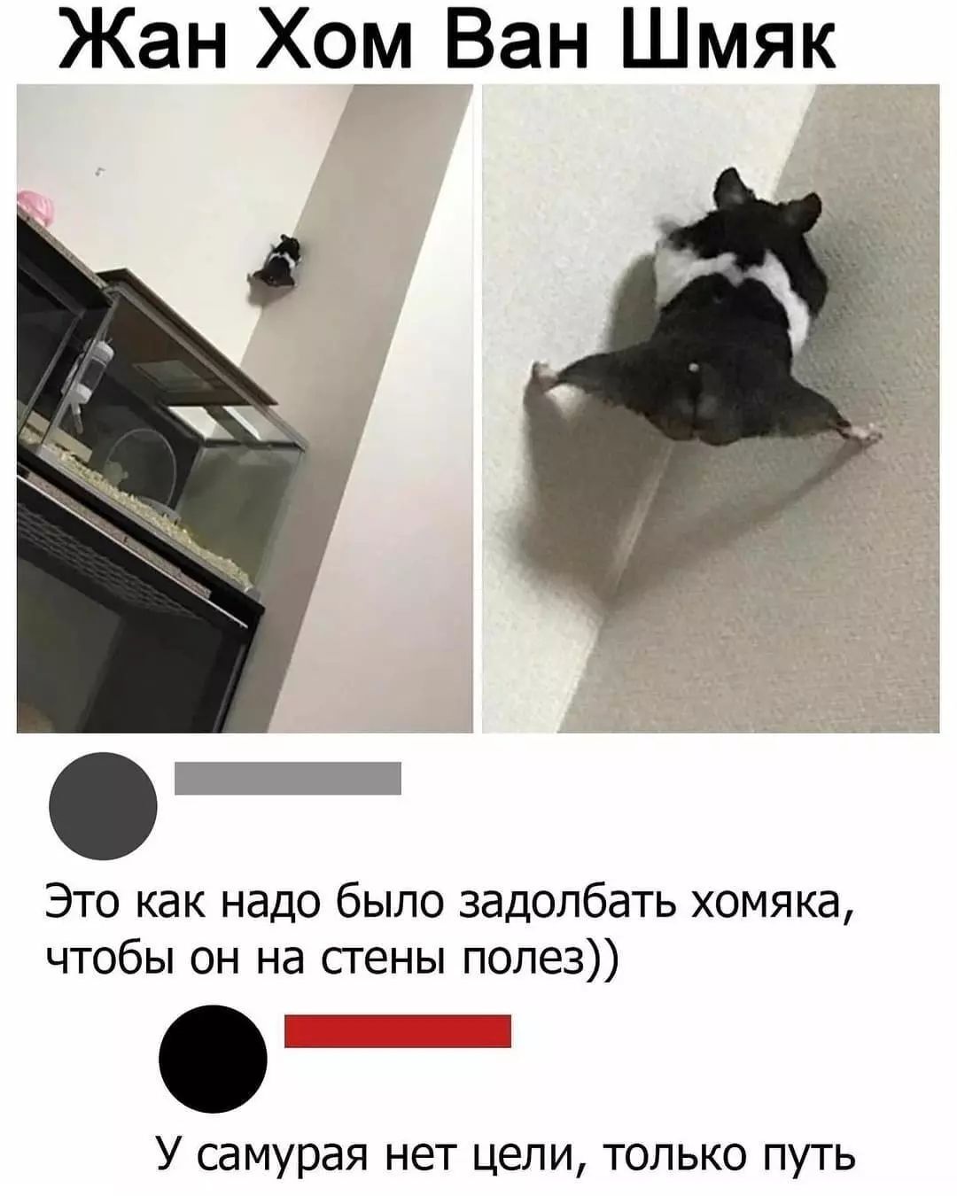 16606467.jpg