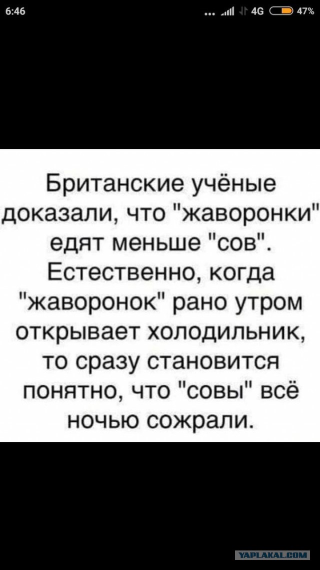 Так себе картинки 05.05.22