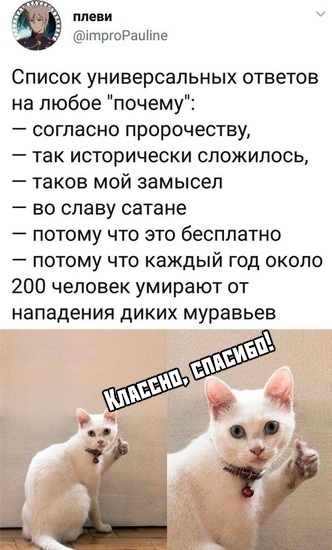 Так себе картинки 07.05.22