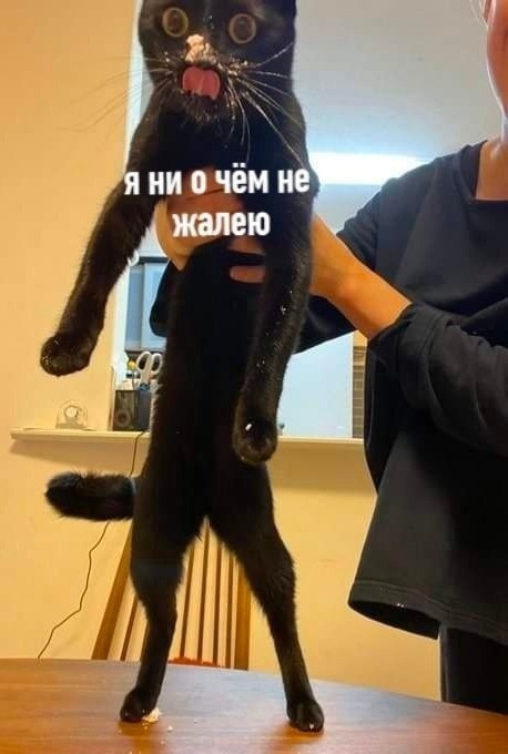 До чего доводит жадность