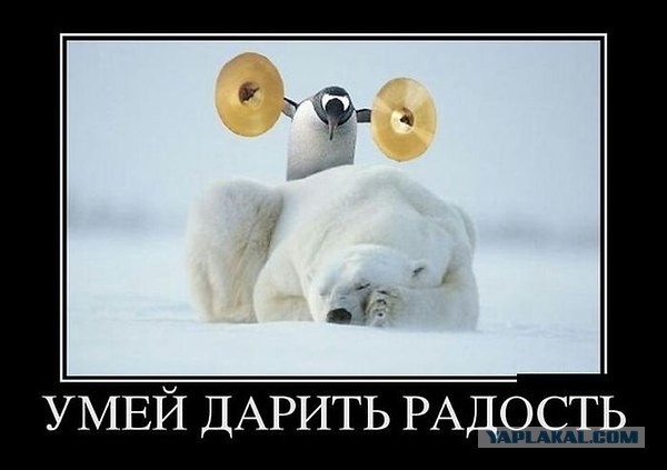 Важный момент об инфаркте миокарда у мужчин⁠⁠