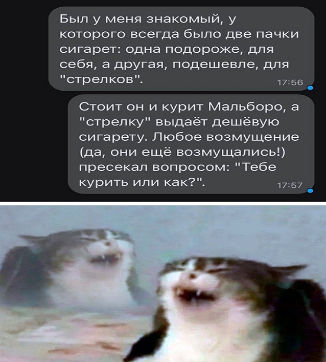 Картинки и мемы для настроения - 19