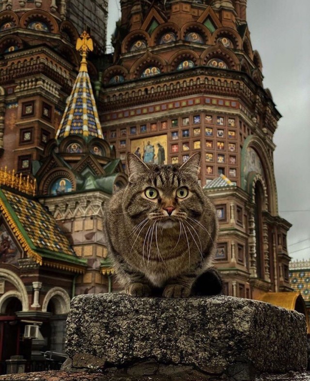 Картинки и мемы, всем хороших выходных