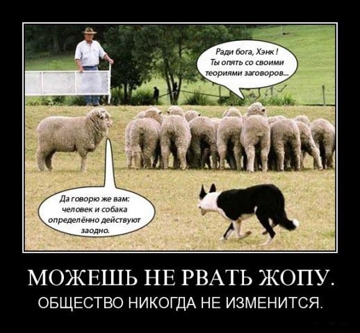 195 тысяч. Ежемесячную выплату заменили разовой?