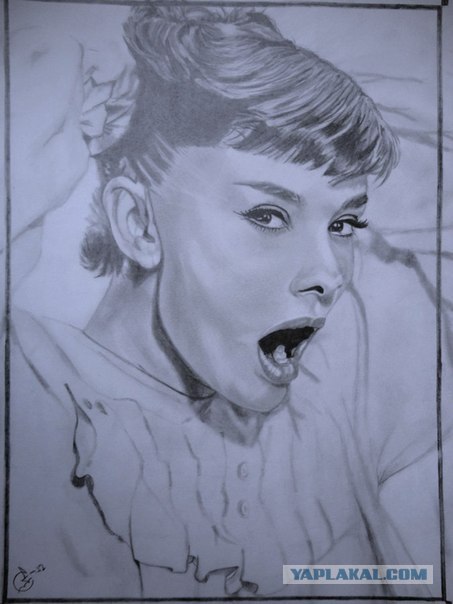 Рисунки карандашом!