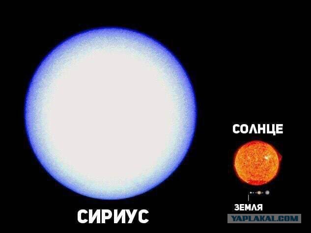 Теория эволюции Дарвина верна? Происхождение человека