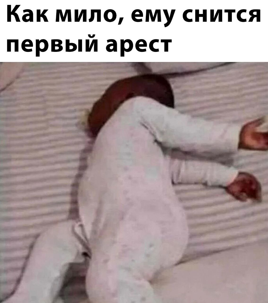 Братство приколистов