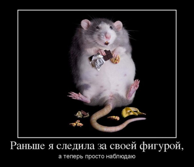 Нуштош 11.03.23
