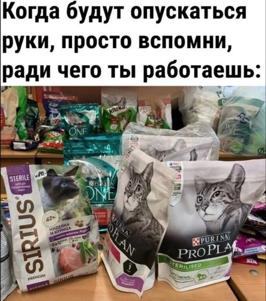 Картинки и мемы для настроения - 167