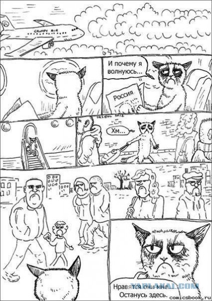 День рождения у Grumpy Cat