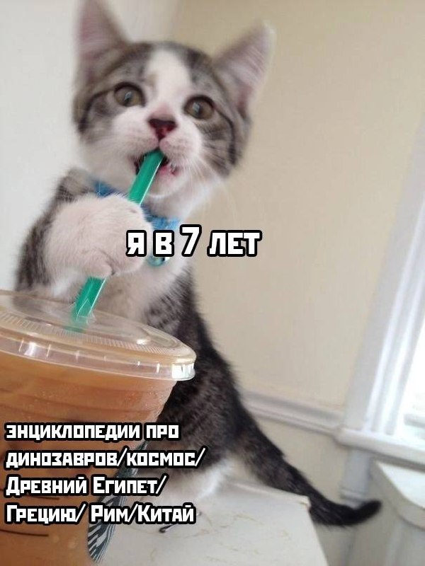 Картинки и мемы для настроения - 187