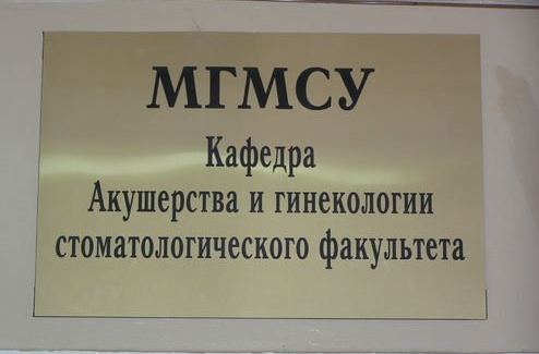 А какие с вами случались приколы на собеседованиях?