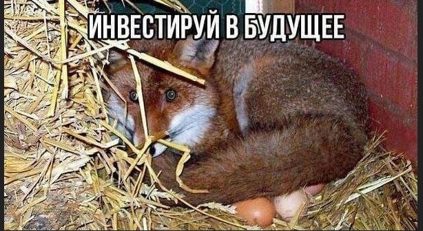 Никакие картинки
