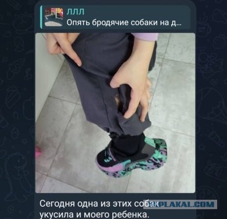 В Новороссийске баба оклеветала водителя общественного транспорта