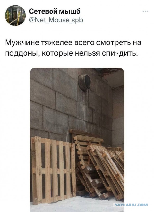 Так себе картинки 09.02.25